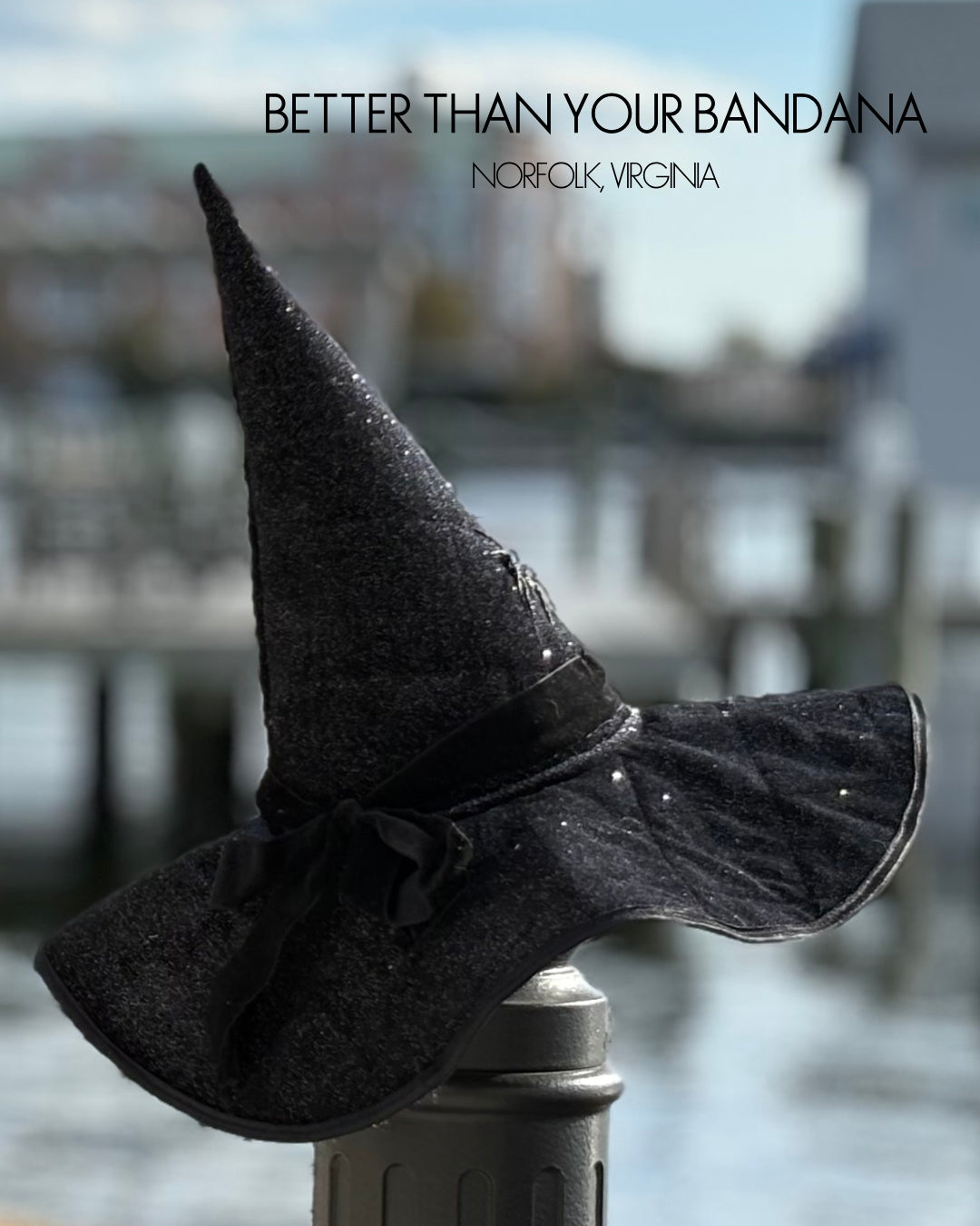 Midnight Sparkle Vintage Witches Hat